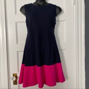 Eliza J Navy Colorblock ponte dress - 16W